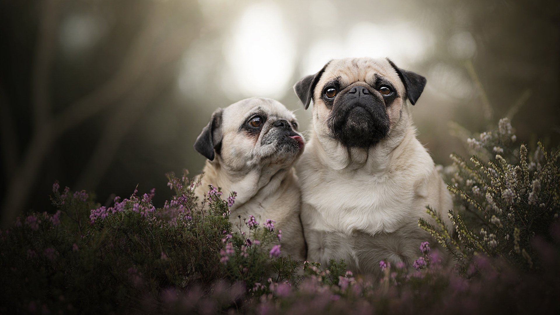 AC米兰队-_勇士开启火热三分雨，势不可挡_，勇士热火全场回放中文
