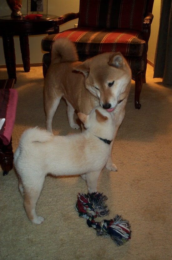 _比赛悬念丛生,谁将问鼎冠军?_,比赛悬念是什么意思