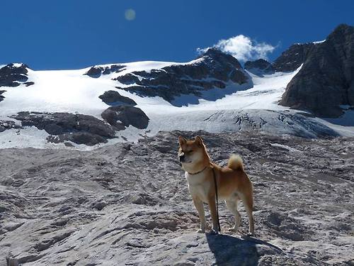 “青少年足球合作联盟推动全国联赛,打造优质青训体系”,青少年足球超级联赛