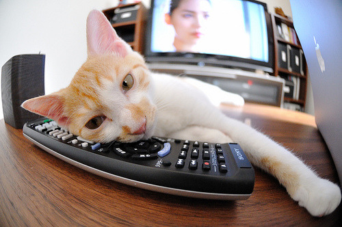 【武器装备】棒球装备的最新科技应用，棒球 装备