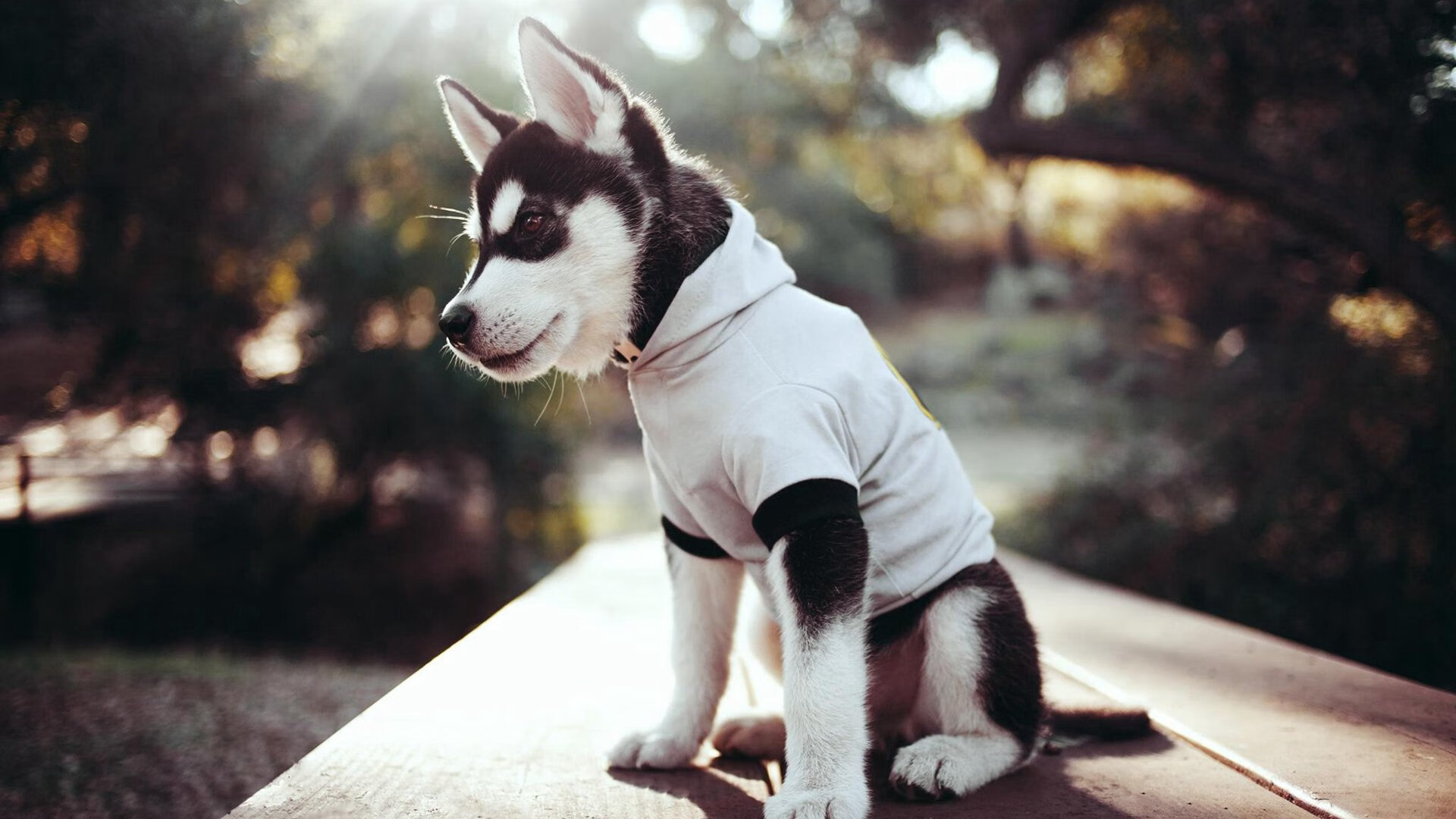 切尔西战术调整引领变革,迎来连续获胜,切尔西进攻