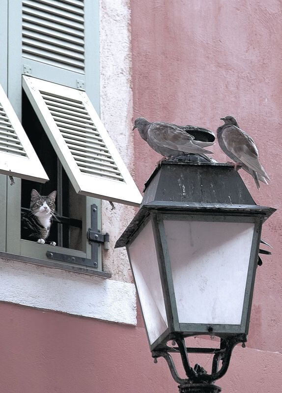 青年天才崛起:潜力无限的新星即将爆发,年轻就要天才