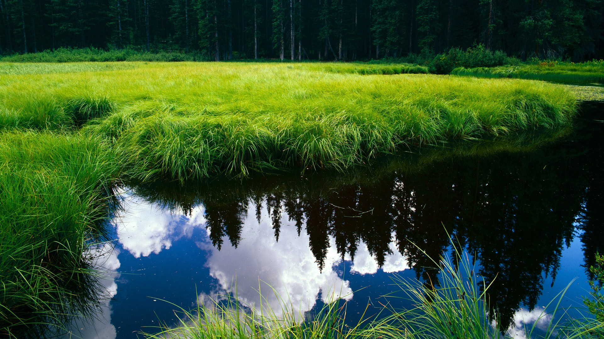 青年攀岩锦标赛,攀向新高度,2021中国青少年攀岩公开赛