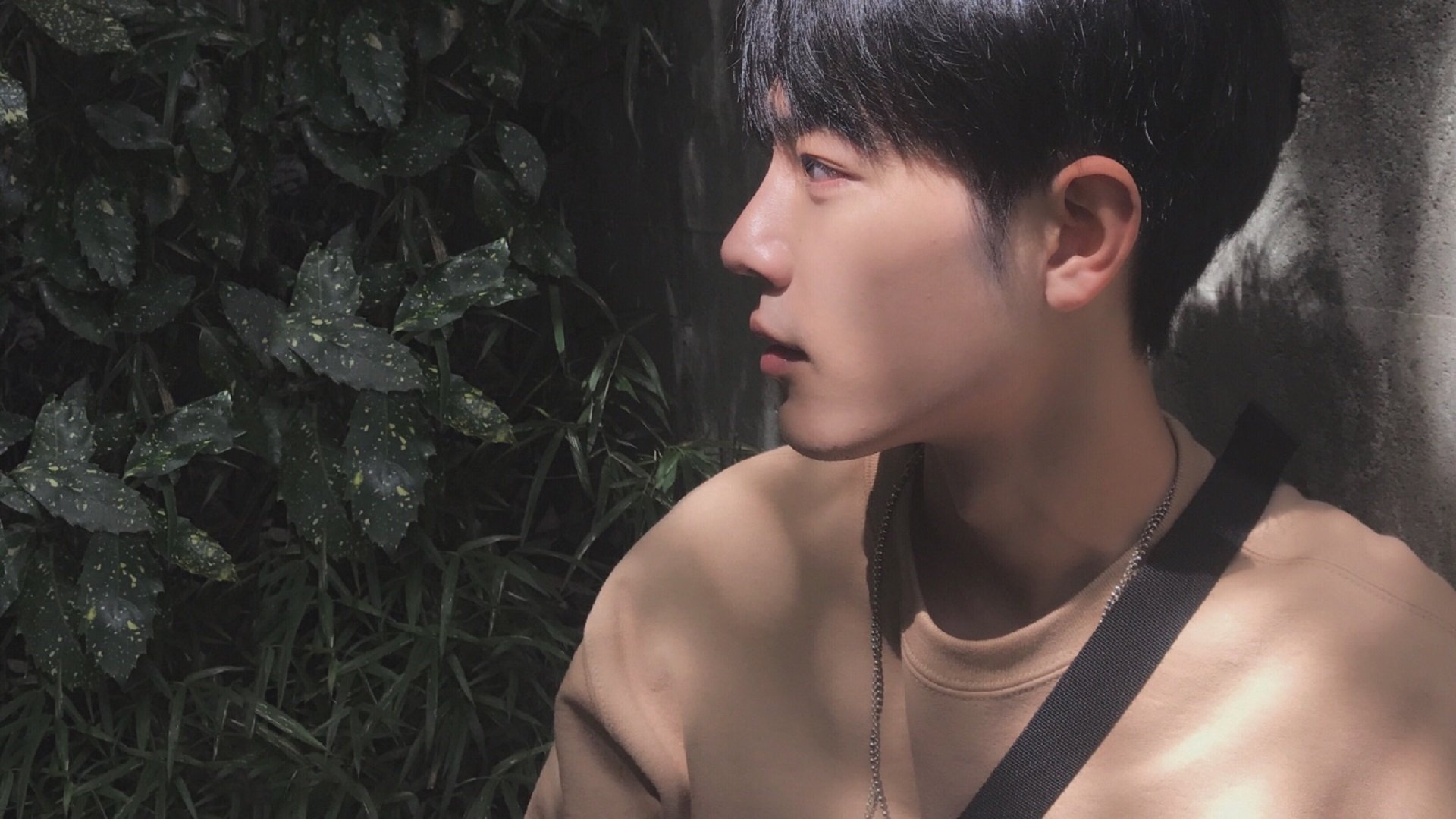 Aster与其他战队激烈对抗，aster战队队员