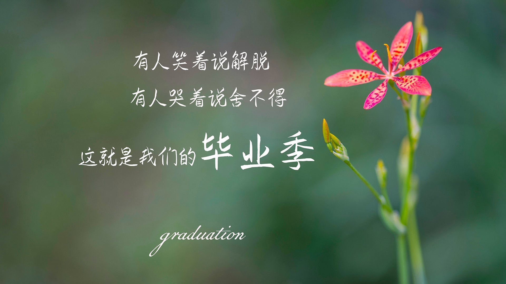 MILAN SPORTS-同曦队年轻核心球员表现突出，同曦队教练组都有谁