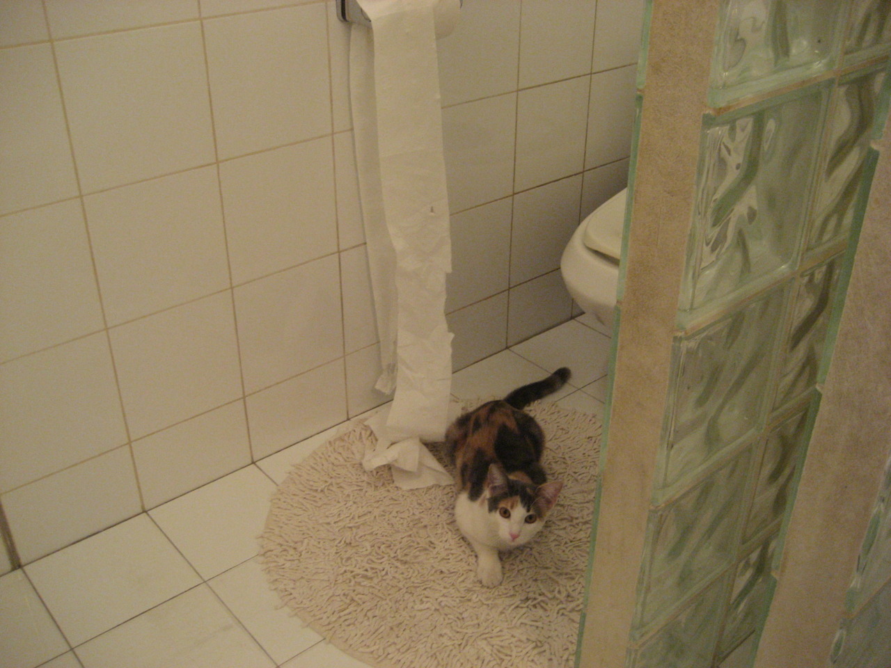 米兰官方网站-布莱顿客场艰难取胜，英超积分榜排名稳步攀升，英超布莱顿老板发家史