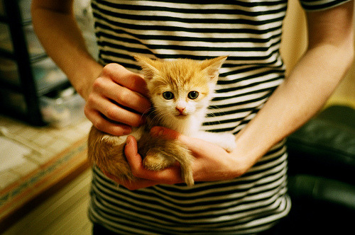 中国米兰体育-美洲篮球超级联赛巅峰对决，耀眼全场，美洲篮球冠军赛