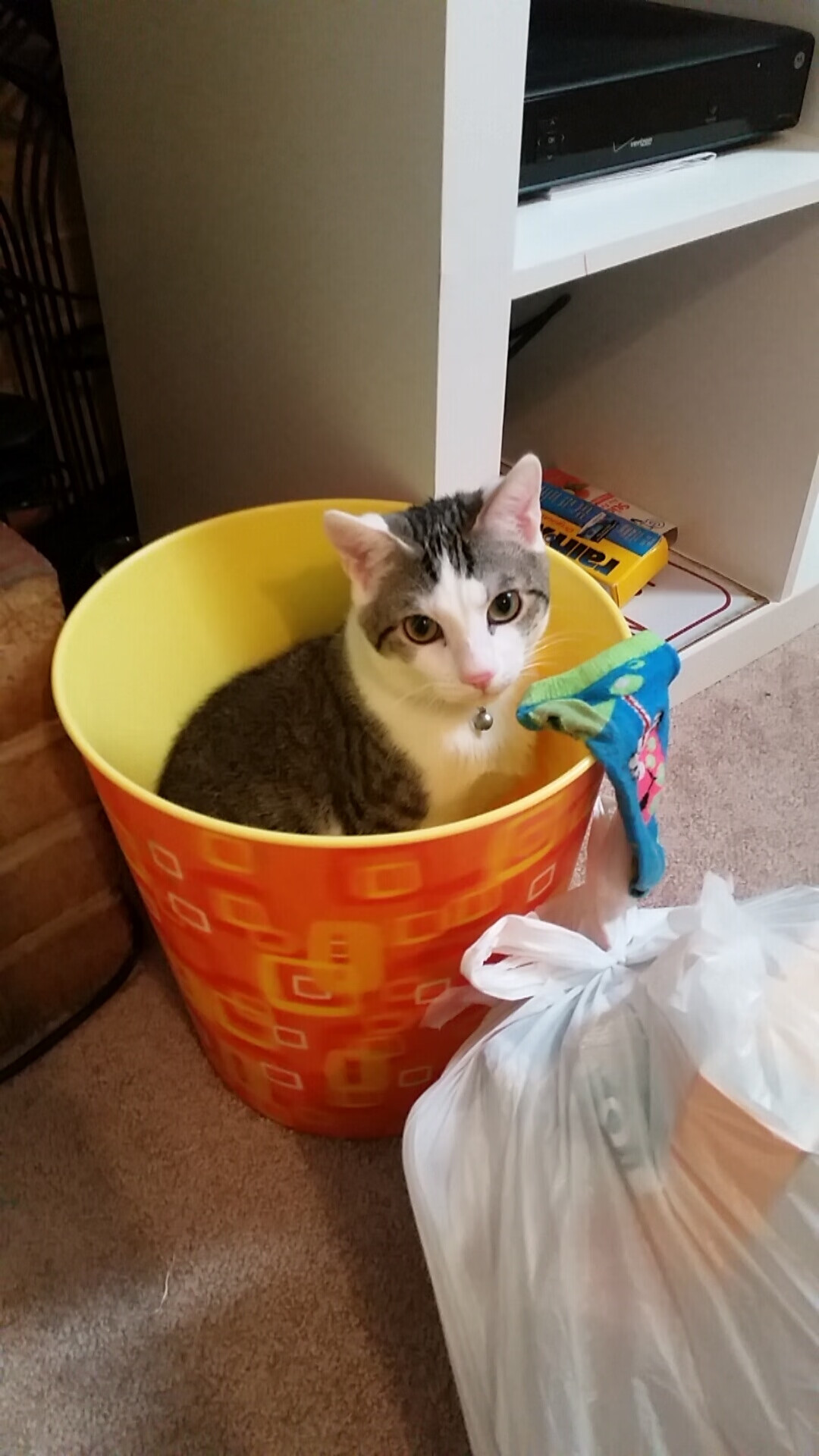 AC米兰赛程-鹈鹕中锋暂时离队更为团队稳定贡献力量，鹈鹕 中锋