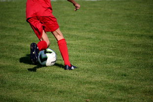 中国米兰体育-意甲裁判语义辅助判罚系统提升比赛公平性研究，意甲裁判组