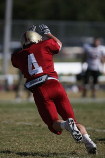 米兰体育网页版(官方}-法甲球队防守战术调整后定位球防守成功率提升分析，法国防守