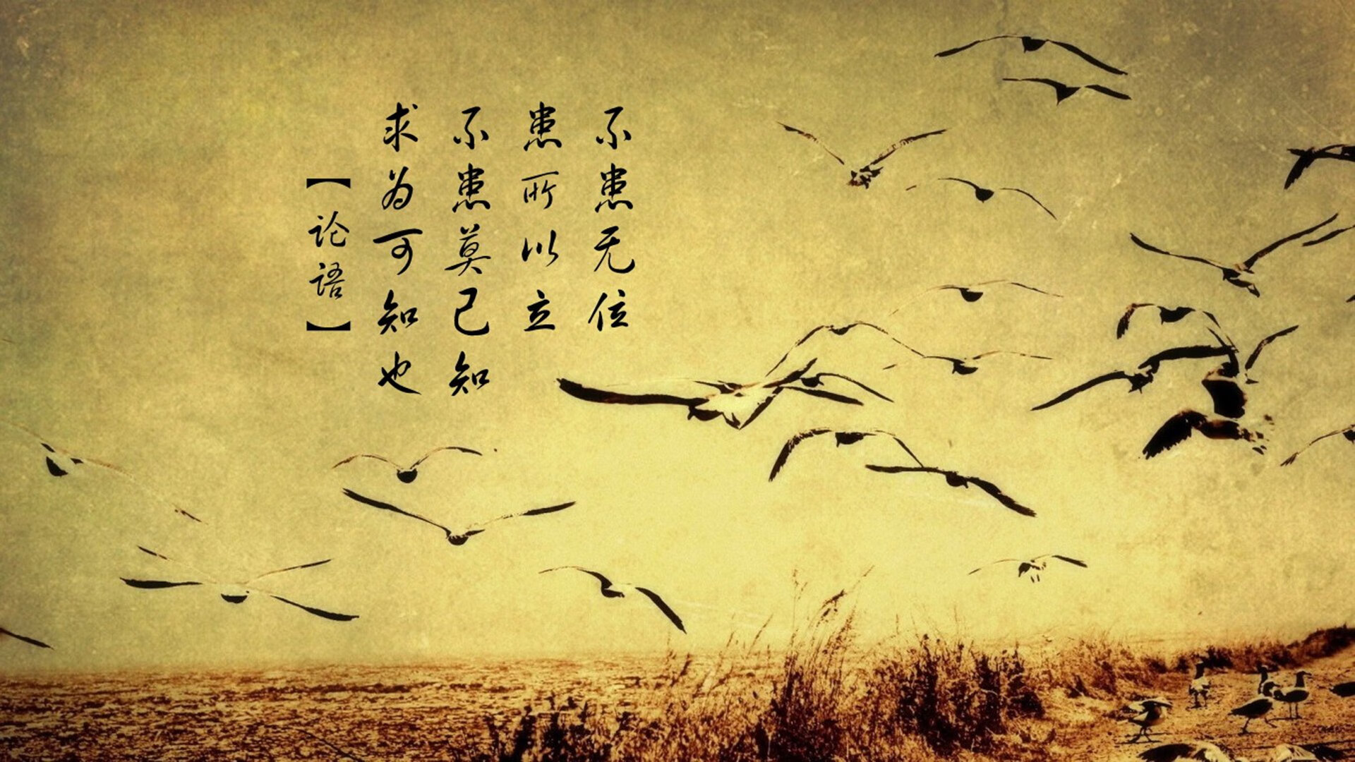 “短柄墙球赛：高新区全民健身馆，脑力与体力的全方位较量”