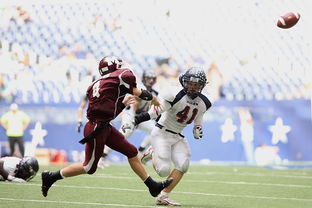 米兰体育·「中国」官方网站-皮特·斯图斯：南非羚羊队的防守核心，一直稳定发挥