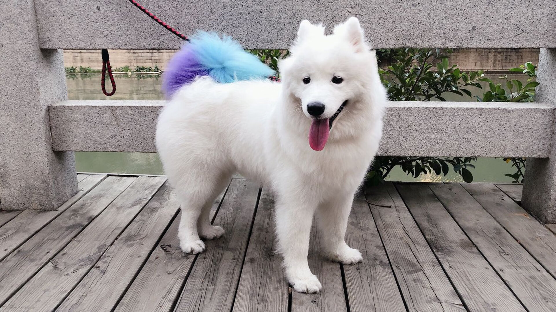 穆里尼奥出席欧足联媒体日,穆里尼奥最新