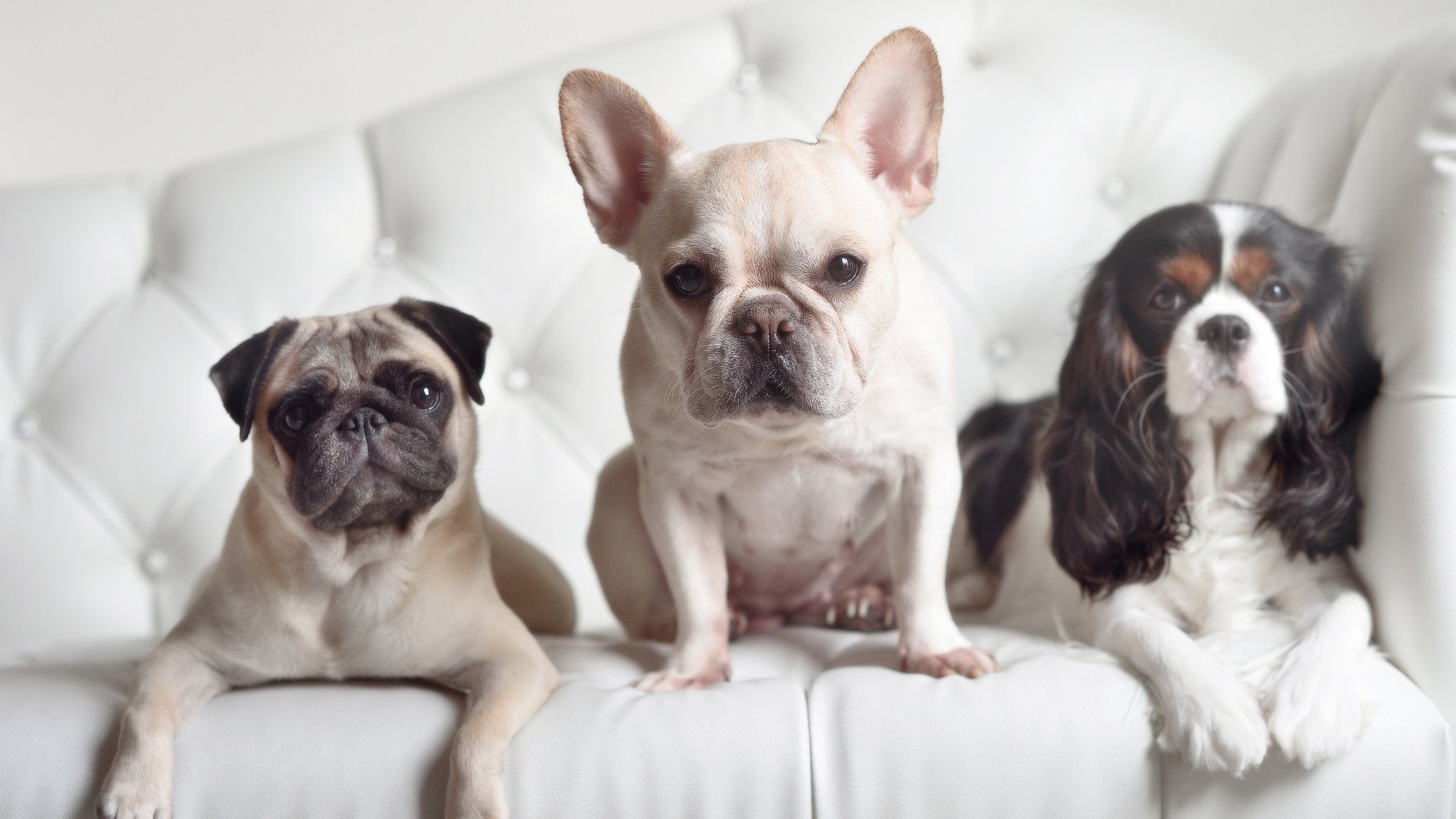 退役球员创立青训学校,推动基层篮球普及,篮球青训队一年多少钱